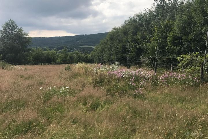 Ballylusk, Ashford, Co. Wicklow
