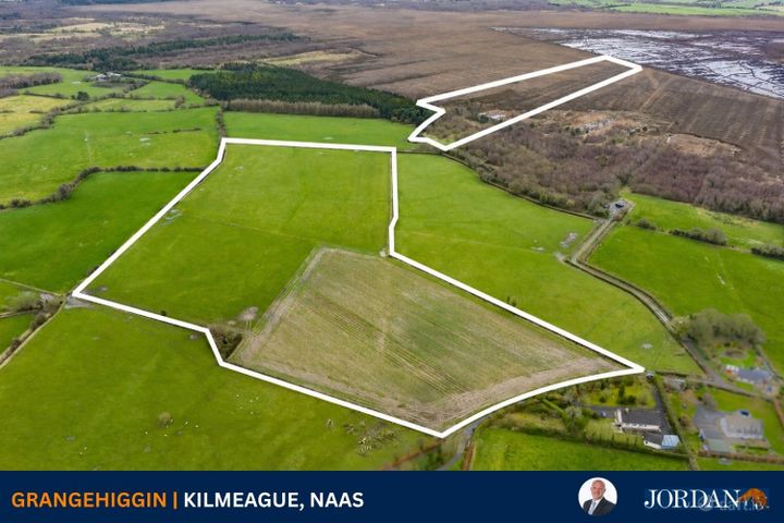 c. 43 Acres, Grangehiggin, Kilmeague, Naas, Co. Kildare