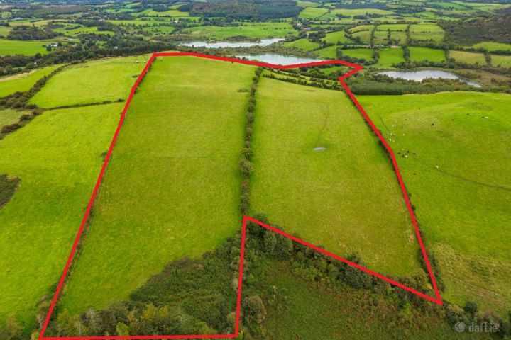 Ben of Fore, Castlepollard, Co. Westmeath