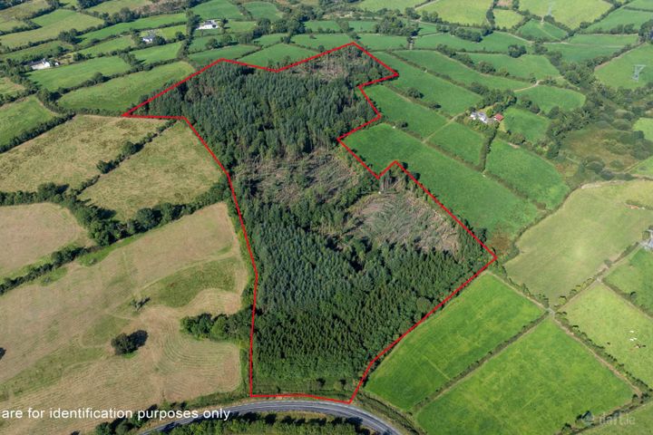 Corracarrow, Ballyjamesduff, Co. Cavan