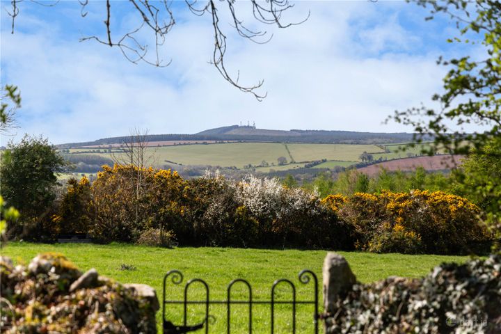 Mount Coggill, Griffinstown, Borris, Co. Kilkenny, R95V8F7 - Photo 3
