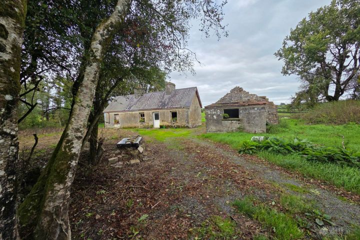 Ogulla, Tulsk, Co. Roscommon, F45KN72