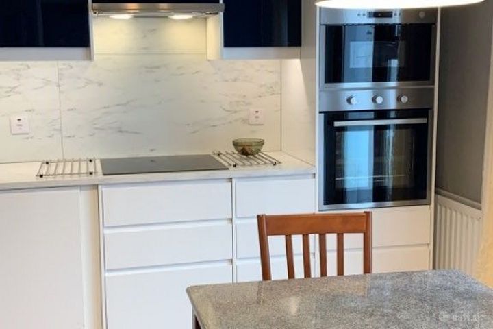 Bluebell Woods, Oranmore, Co. Galway