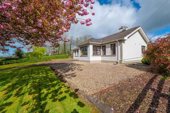 Woodville, Ballymackey, Toomevara, Co. Tipperary, E45TX31