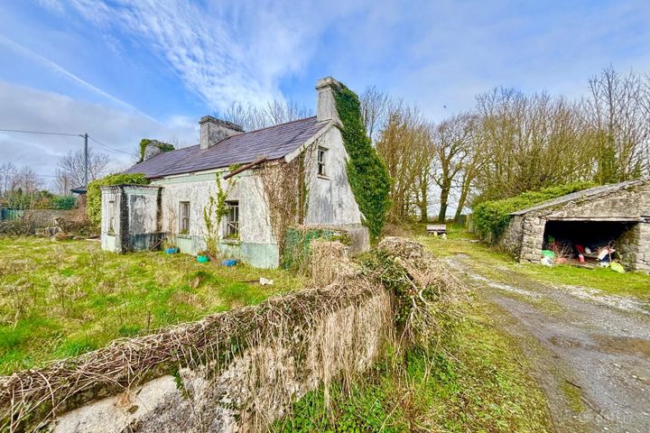 Carrowbeg North, Corrandulla, Co. Galway, H91Y46P - Photo 2