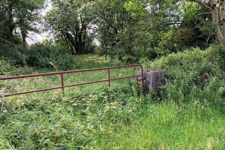 Cregmore, Claregalway, Co. Galway