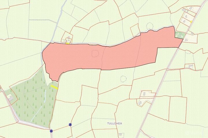 Tullohea, Grangemockler, Co. Tipperary