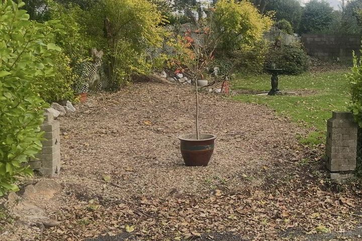 Site At 16 Shrewsbury, Ballinlough, Co. Cork