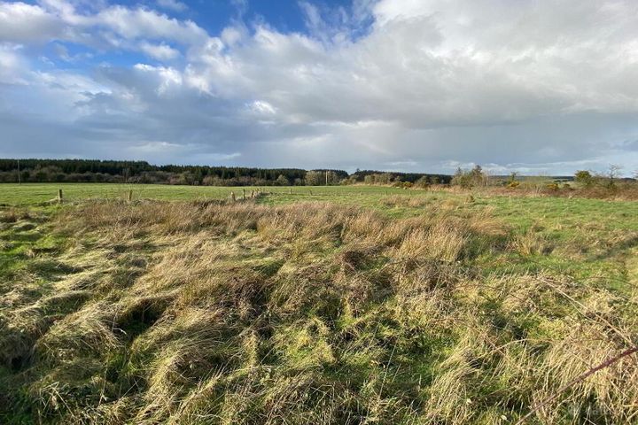 Boolyglas, Hugginstown, Co. Kilkenny