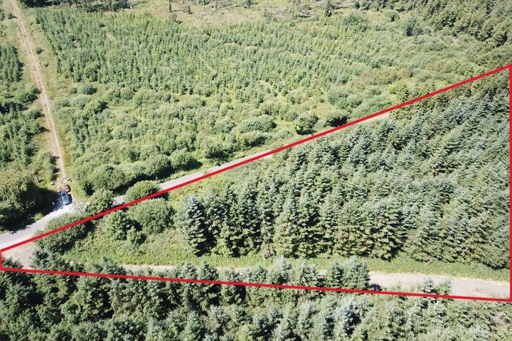 Forestry Land At Smithstown, Mullinavat, Co. Kilkenny