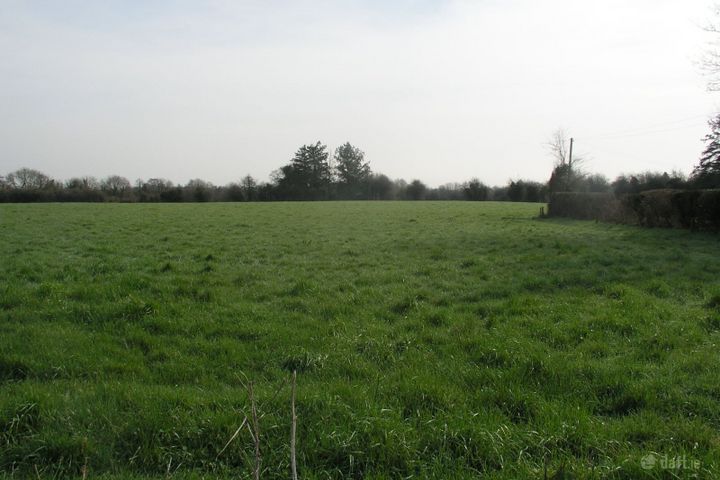 Ballagharahin, Errill, Co. Laois