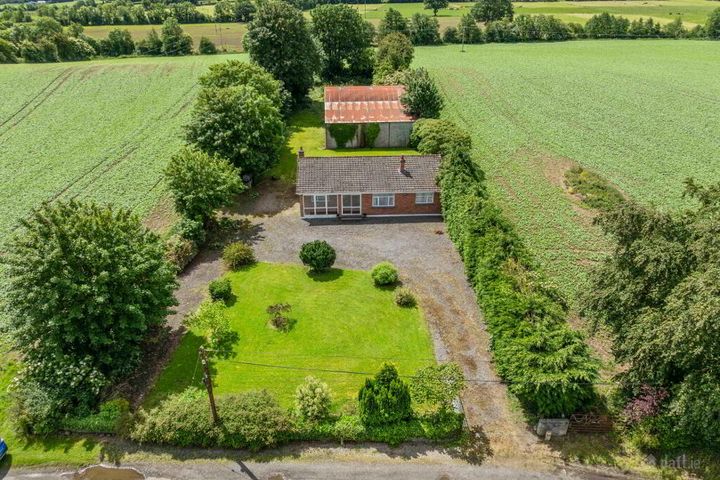 Ricketstown Bough, Rathvilly, Co. Carlow, R93K351