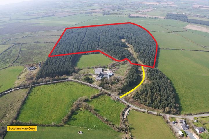 Mature forestry Plantation C.59.35 Crandaniel, Kilmuckridge, Co. Wexford