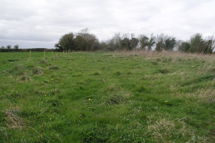 Tullacommon, Ballybrophy, Co. Laois