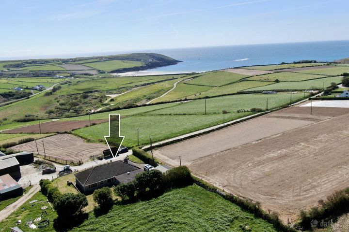 Gahanive, Castlefreke, Rosscarbery, Co. Cork, P85V309