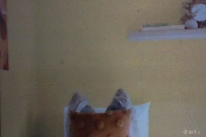 Flat 1, 4 Sherrard Street Upper, Dublin 1, North Circular Road, Dublin 1