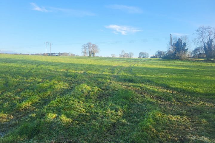 Ballysheedy, Ballysheedy, Co. Limerick