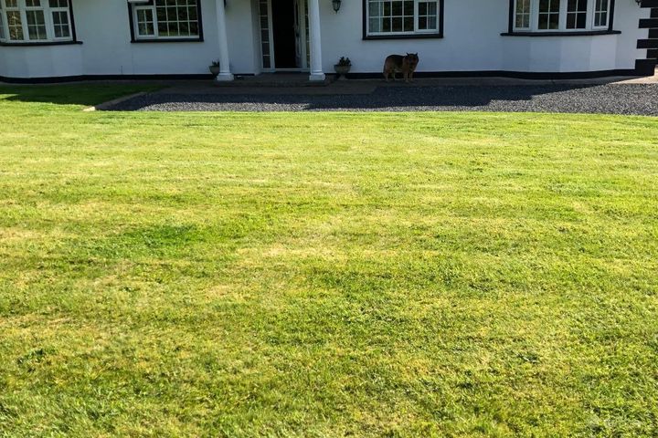 Martinstown , Johnstown Bridge, Co. Kildare