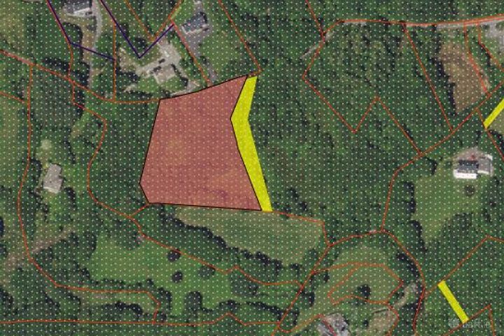 Youngfield, Glengarriff, Co. Cork