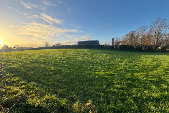 Rathmoyle, Abbeyleix, Co. Laois