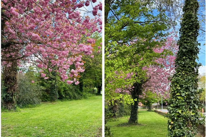 Saint Anne's,Dublin 12, Kimmage, Co. Dublin