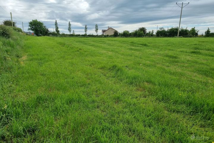 Faha Demesne, Patrickswell, Co. Limerick