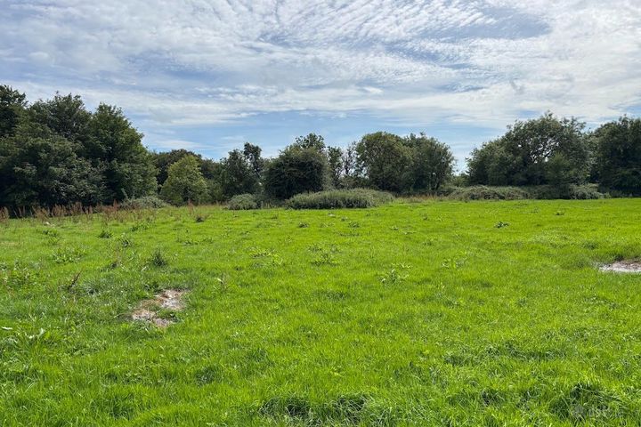 Caherloghan, Tulla, Co. Clare