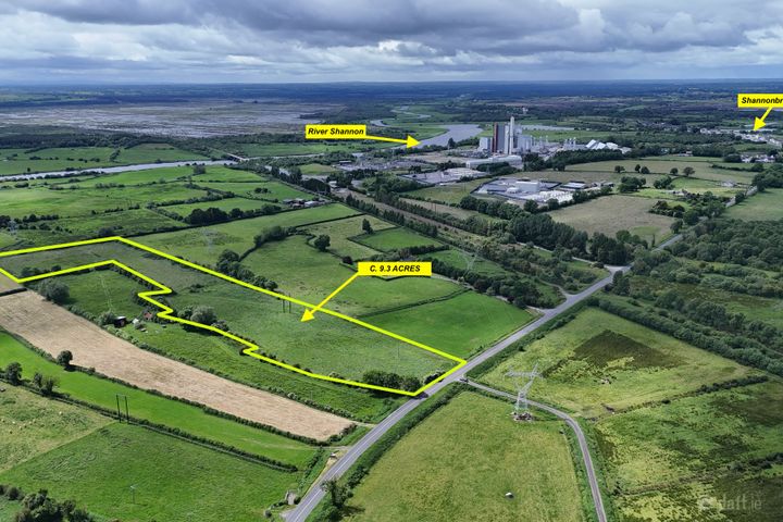 9.3 acres (approx.) at Cloniffeen, Shannonbridge, Co. Offaly