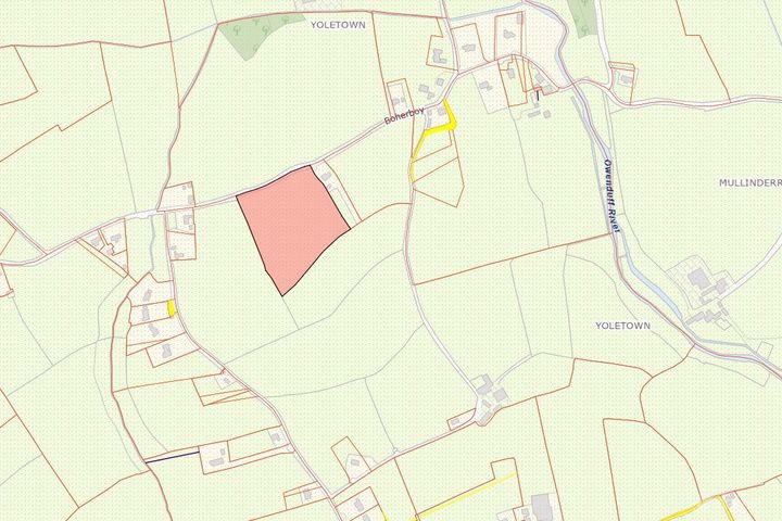 Boher Boy, Yoletown, Ballycullane, Co. Wexford