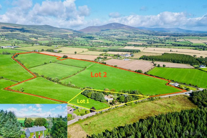 Monamolin (C. 44 acres), Rathnure, Co. Wexford, Y21T253