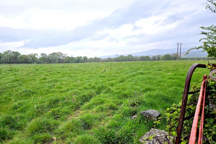 Cloheenfishoge, Kilcoran, Cahir, Co. Tipperary