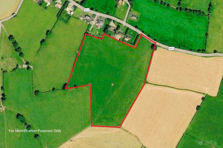 Lands Downings South, Prosperous, Co. Kildare
