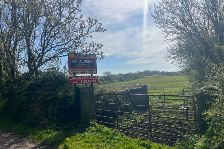 Pollnabanny  , Athenry, Co. Galway