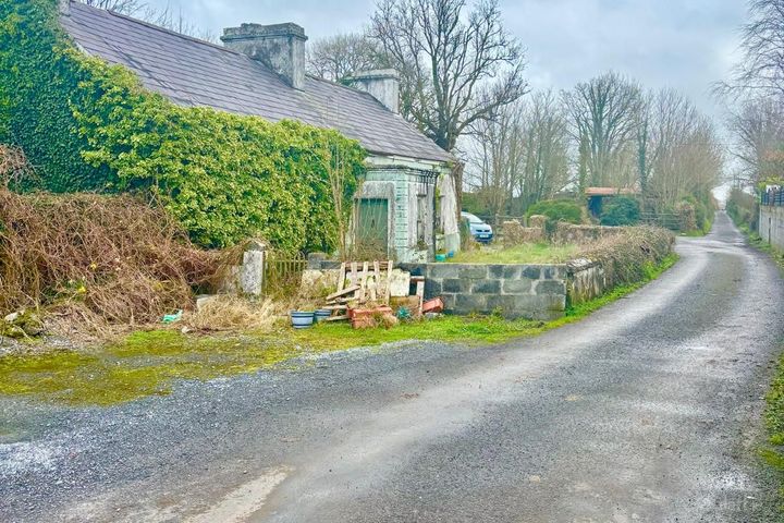 Carrowbeg North, Corrandulla, Co. Galway, H91Y46P - Photo 3