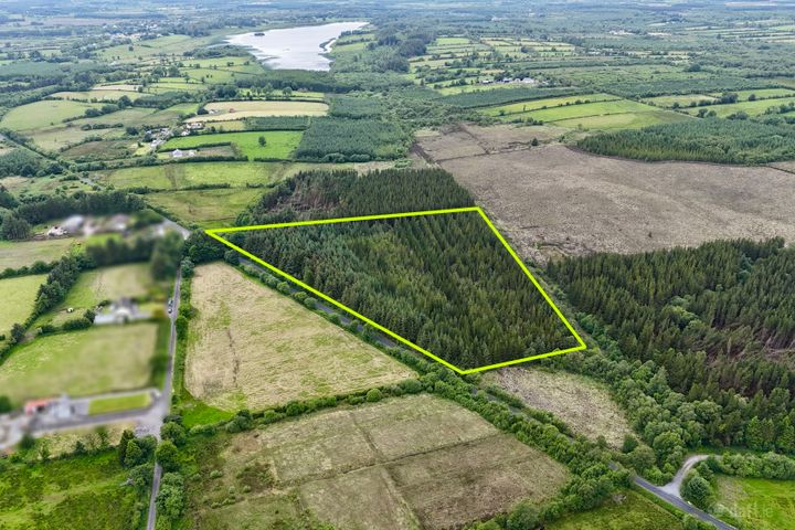 c.8.58 acres of mature forestry at Ballyglass East, Loughglynn, Co. Roscommon