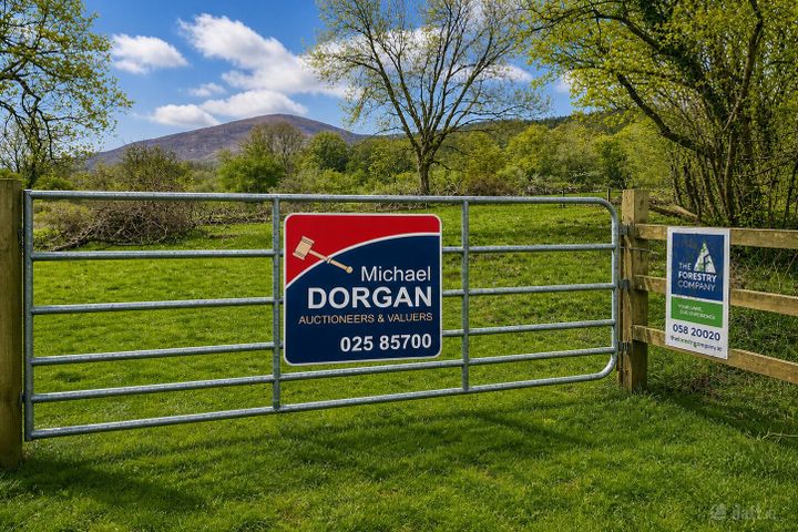 c.53 acres Forrest, Rearoe, Clogheen, Co. Tipperary