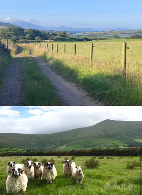 Ballyrishteen, Dingle, Lispole, Co. Kerry
