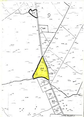 Image - 2