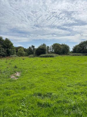 Caherloghan, Tulla, Co. Clare