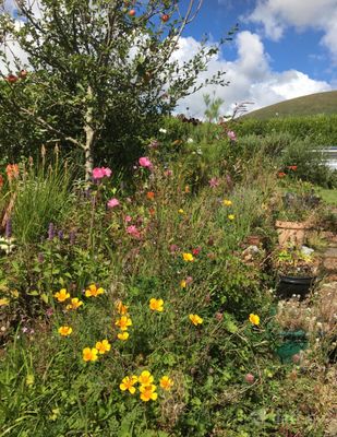Ballyrishteen, Dingle, Lispole, Co. Kerry