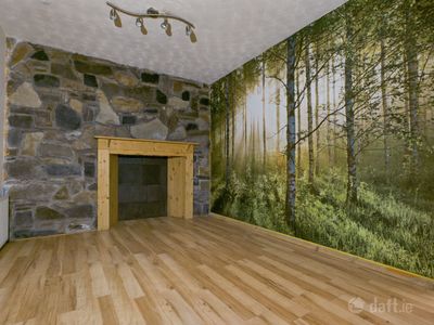 Image - 12