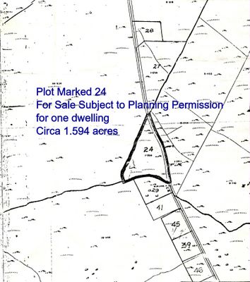 Image - 1