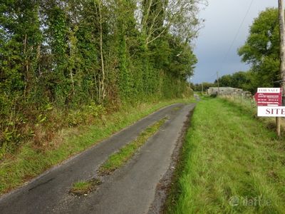 Image - 3