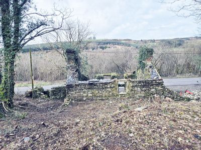 Image - 5