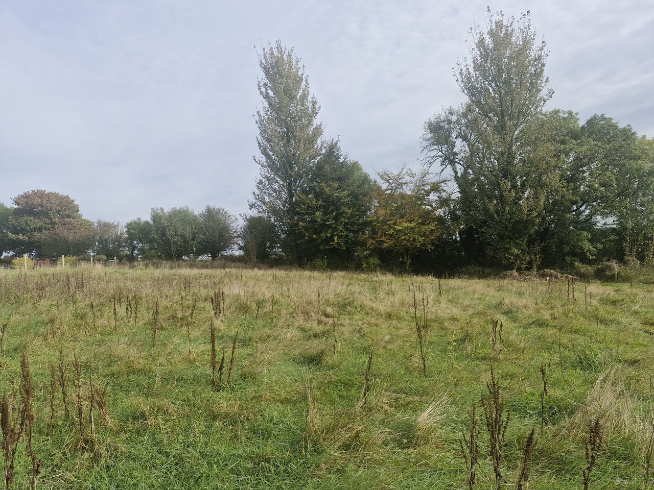 Inchacarran, Buckstown