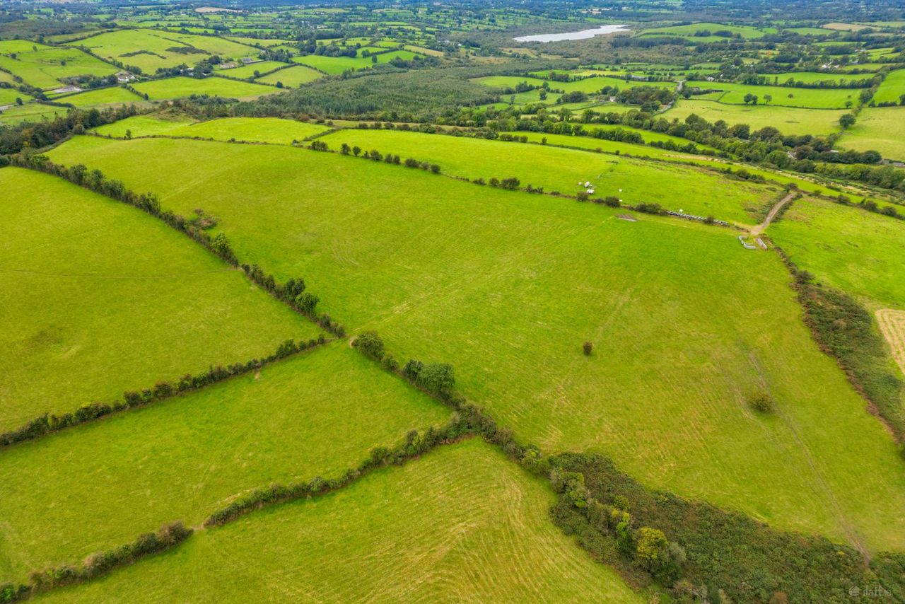 Ben of Fore, Castlepollard, Co. Westmeath