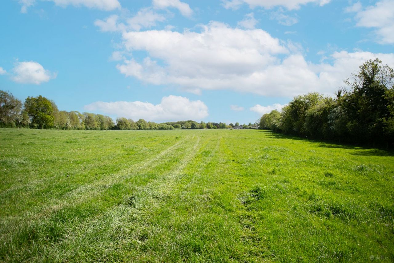 Ballybeg, Littleton, Co. Tipperary