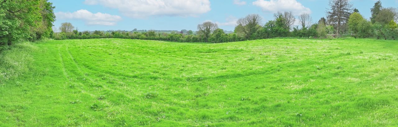 Porterstown, Killucan, Co. Westmeath