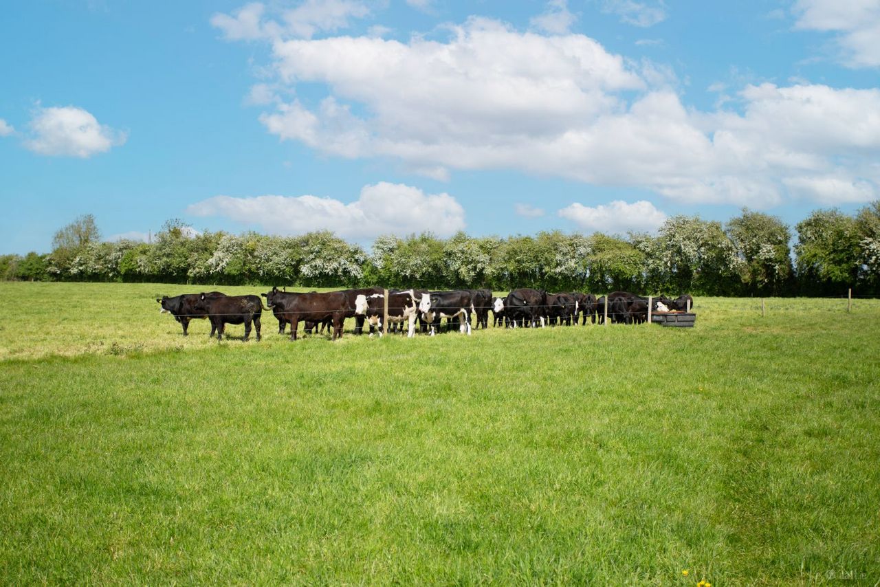 Ballybeg, Littleton, Co. Tipperary