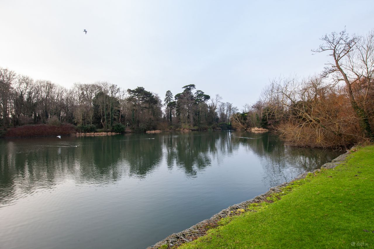 Horan Estates - Geraldstown Woods, Santry, Co. Dublin